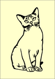 0202-001 Istuva kissa1