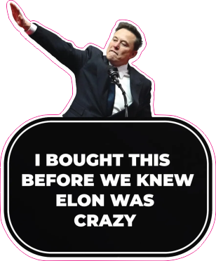 0602-008 Tesla_3 Elon was grazy