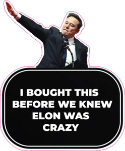 0602-008 Tesla_3 Elon was grazy