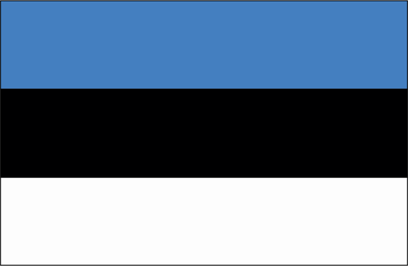 0801-007 Viron lippu
