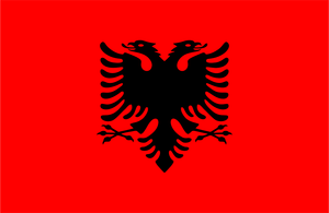 0801-012 Albanian lippu