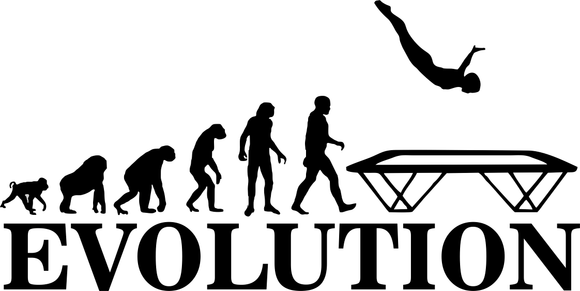 1317-002 Evolution trampoline